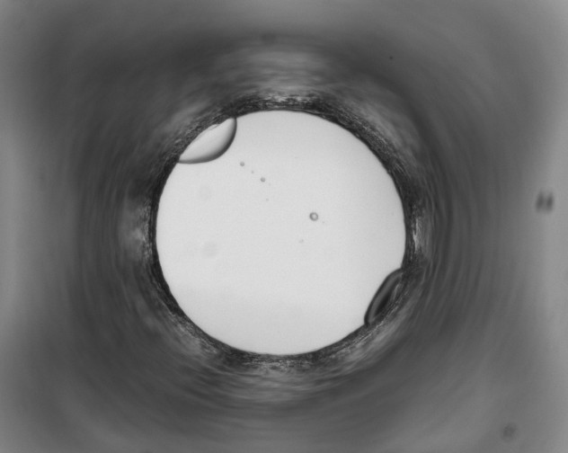 X0000099401396200806051157