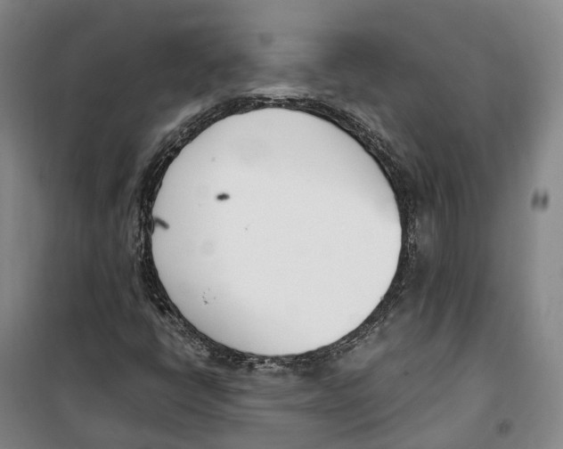 X0000099401398200806051157