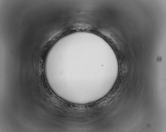 X0000099401399200806051157