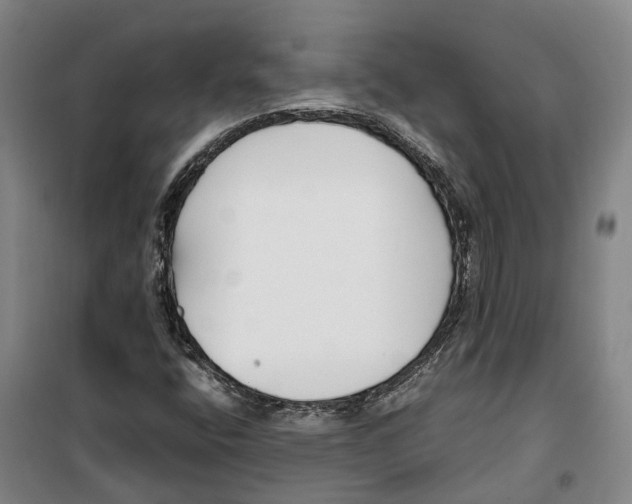 X0000099401400200806051157