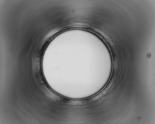 X0000099401402200806051157