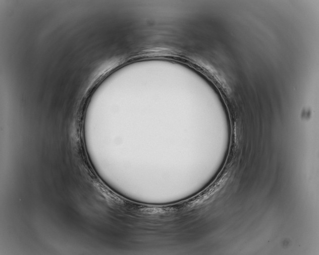 X0000099401405200806051157