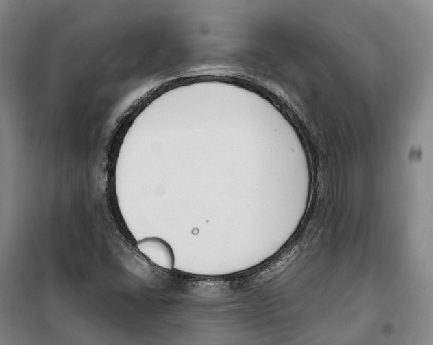 X0000099401406200806051157