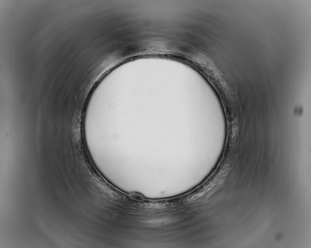 X0000099401409200806051157