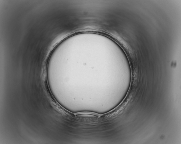 X0000099401413200806051157