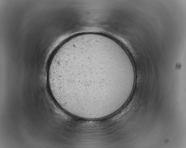 X0000099401414200806051157