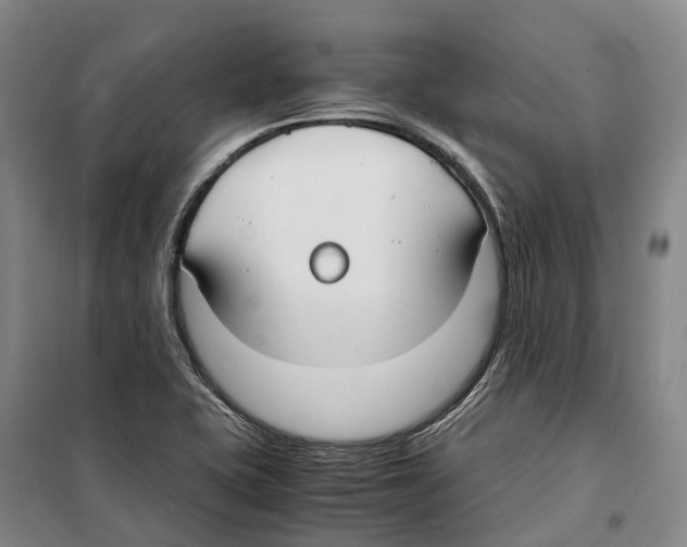 X0000099401415200806051157