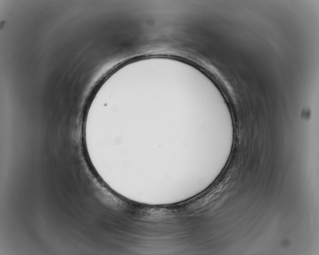 X0000099401416200806051157