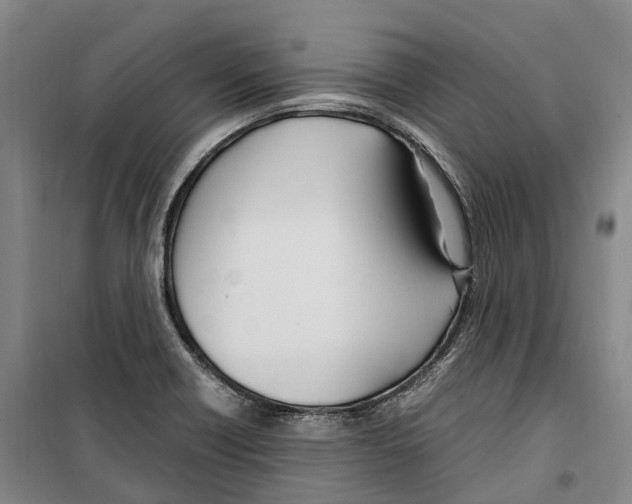 X0000099401418200806051157
