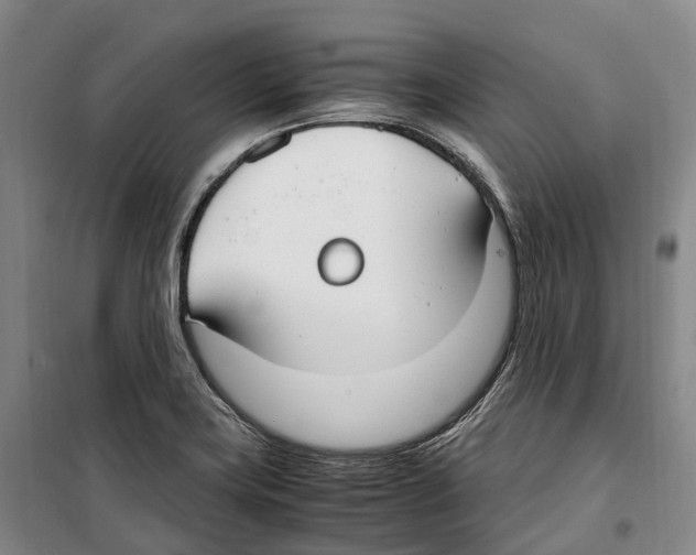 X0000099401419200806051157