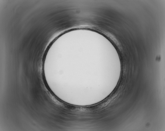 X0000099401420200806051157