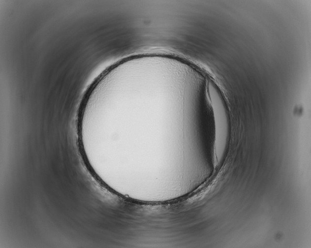 X0000099401422200806051157
