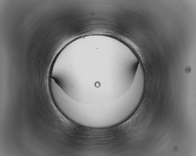 X0000099401423200806051157