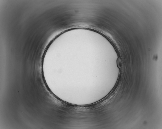 X0000099401424200806051157