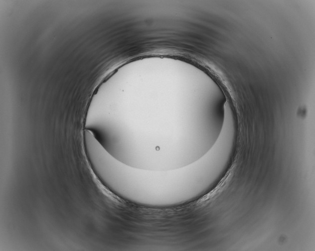 X0000099401425200806051157