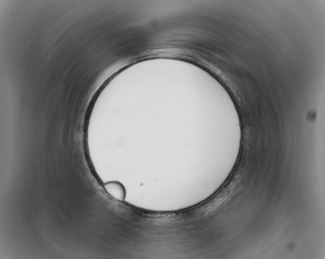 X0000099401426200806051157