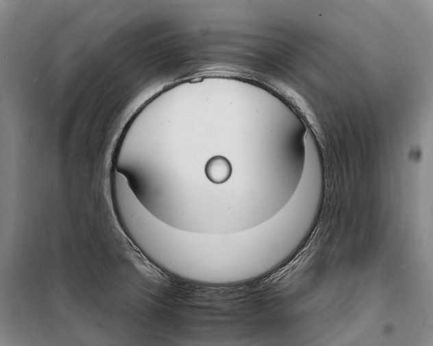 X0000099401427200806051157