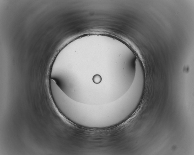 X0000099401429200806051157