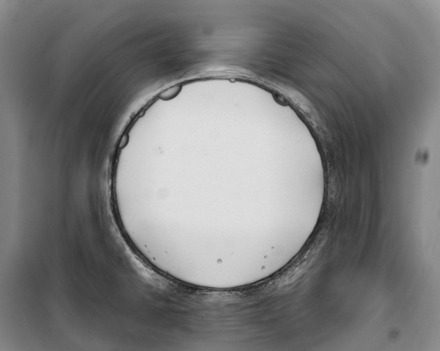 X0000099401430200806051157