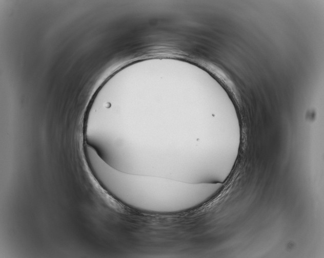 X0000099401431200806051157