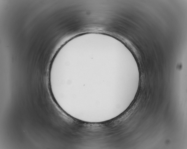 X0000099401432200806051157