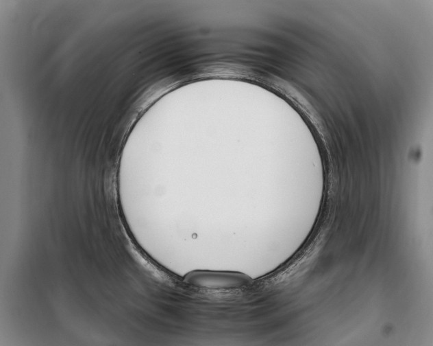 X0000099401433200806051157