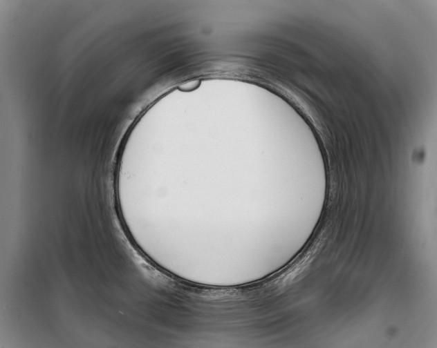 X0000099401434200806051157
