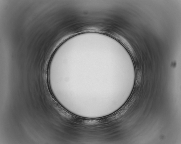 X0000099401435200806051157