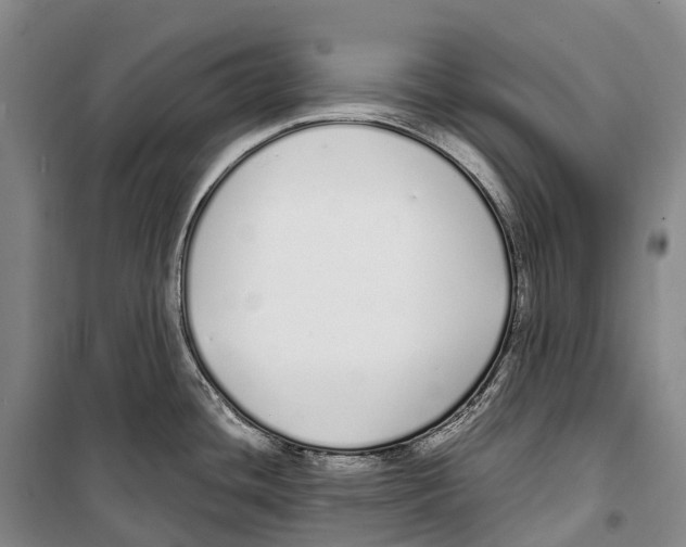 X0000099401436200806051157
