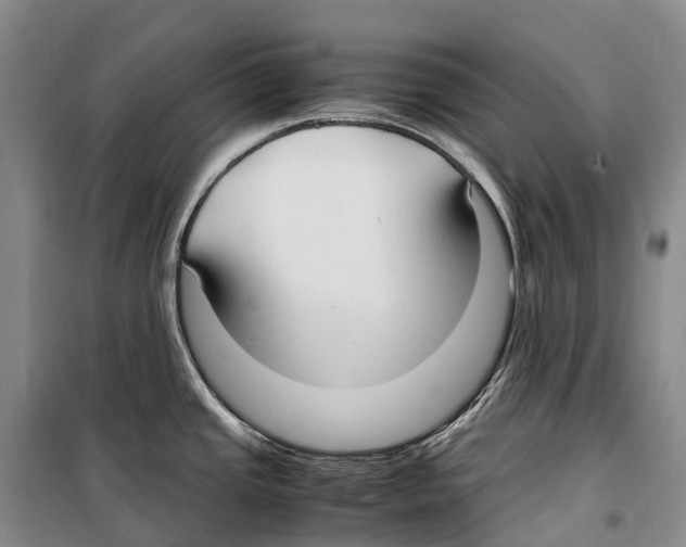 X0000099401437200806051157