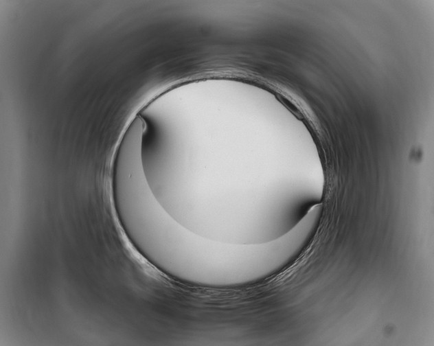 X0000099401439200806051157