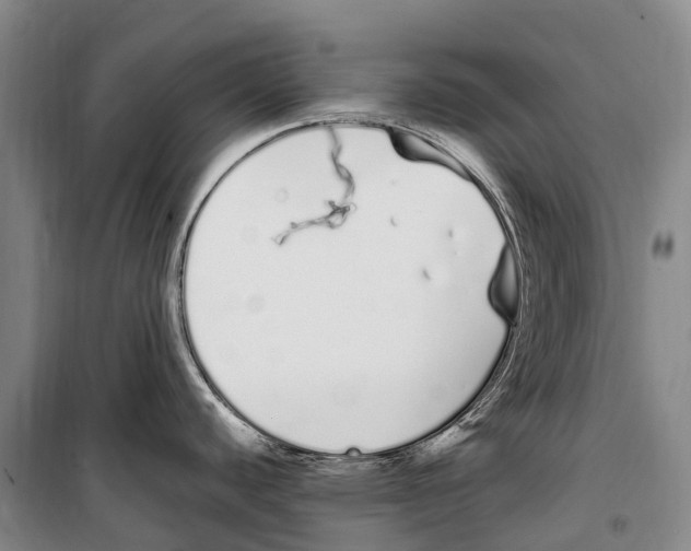 X0000099401440200806051157