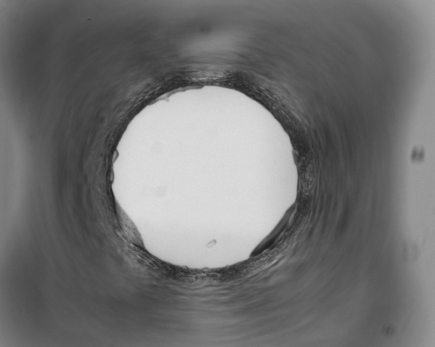 X0000099401441200806051156