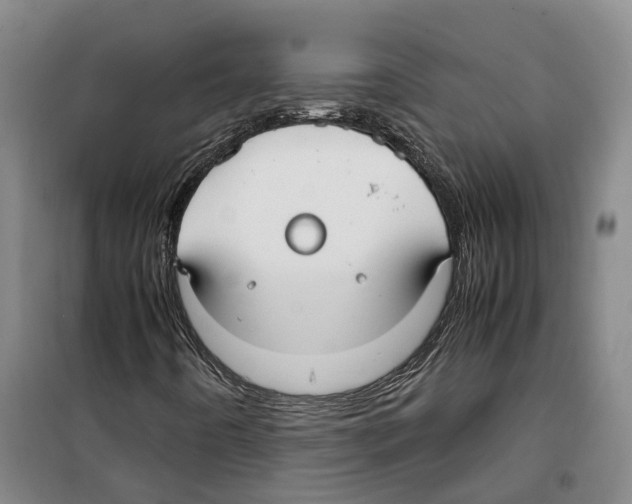 X0000099401442200806051156