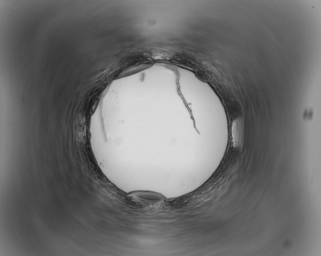 X0000099401443200806051156