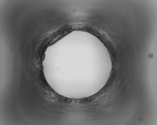 X0000099401445200806051156