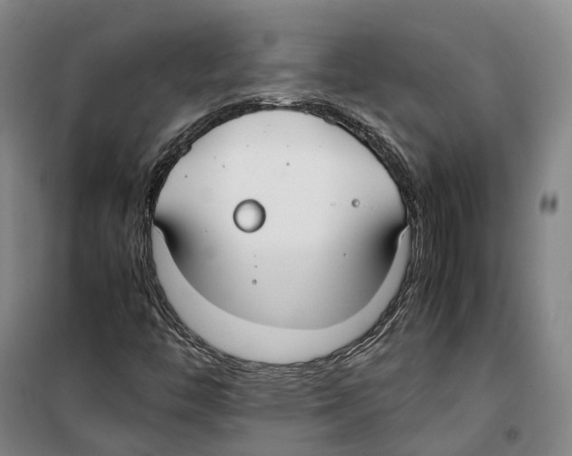 X0000099401446200806051156
