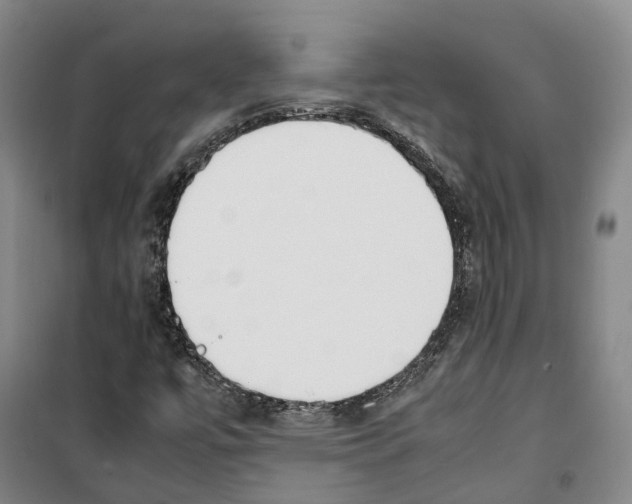 X0000099401447200806051156