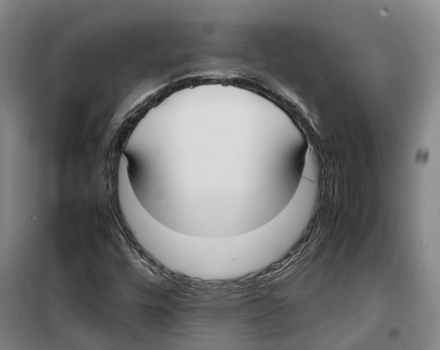 X0000099401448200806051156