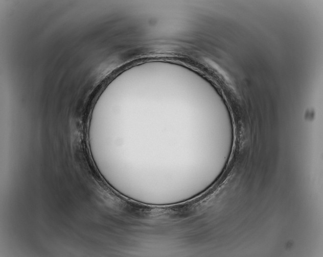 X0000099401449200806051156