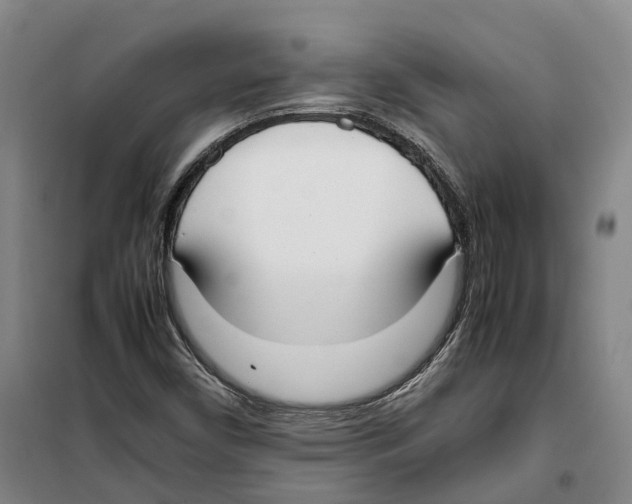 X0000099401450200806051156
