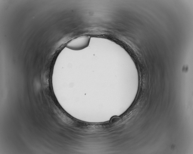 X0000099401451200806051156