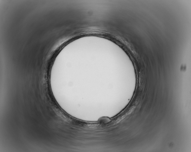 X0000099401453200806051156