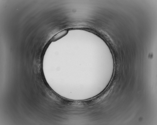 X0000099401457200806051156