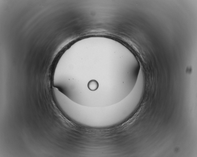 X0000099401458200806051156