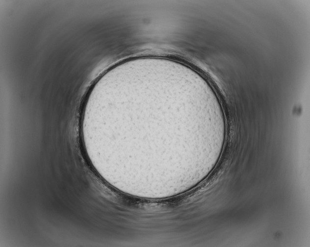 X0000099401459200806051156