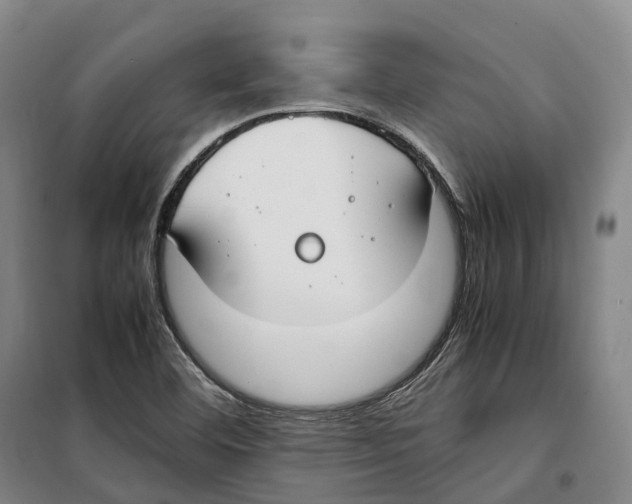 X0000099401460200806051156