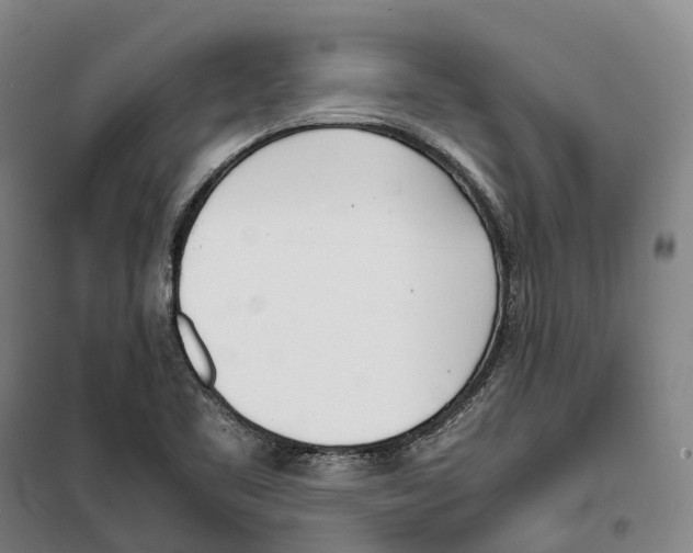 X0000099401461200806051156
