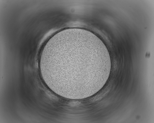 X0000099401462200806051156