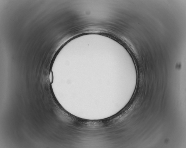 X0000099401465200806051156